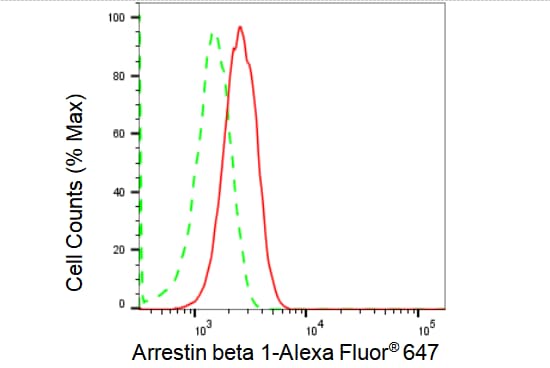 beta-Arrestin 1 Antibody (23GB1755)