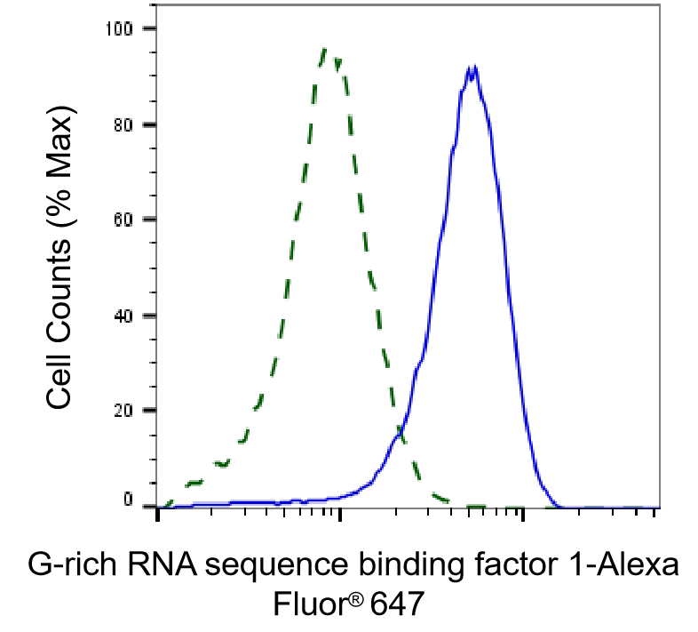 GRSF1 Antibody (23GB1660)