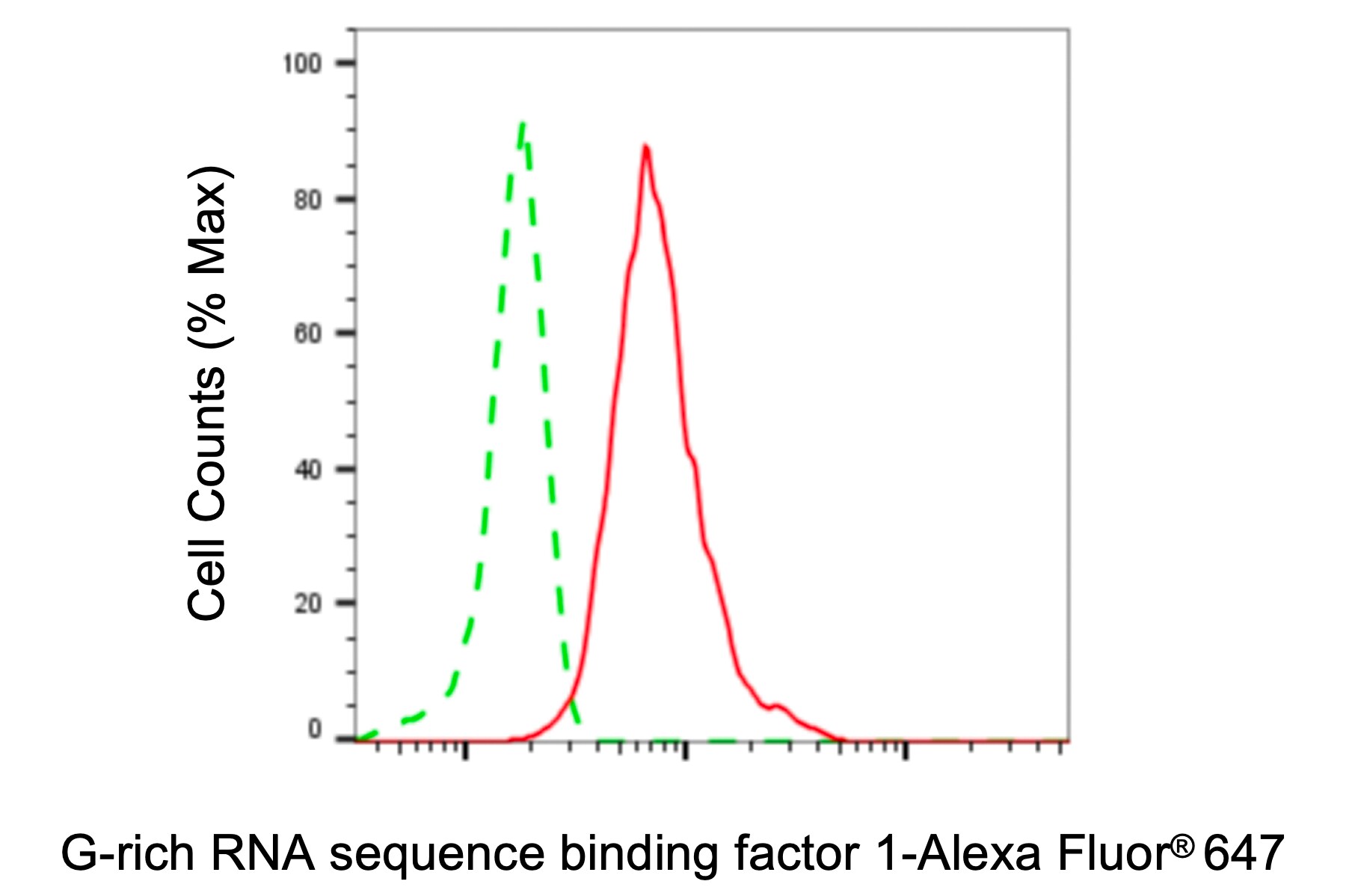 GRSF1 Antibody (23GB1660)