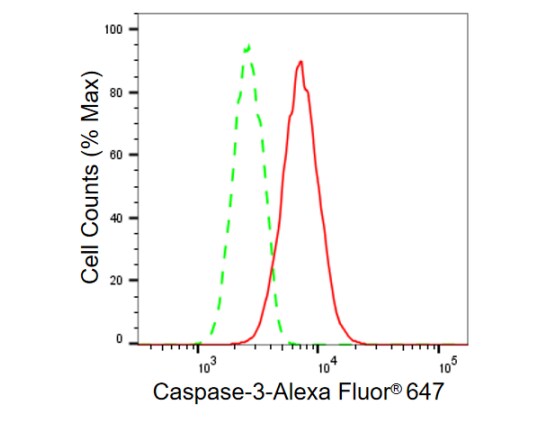 Caspase-3 Antibody (23GB705)