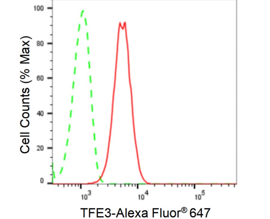 Transcription factor E3 Antibody (24GB2630)