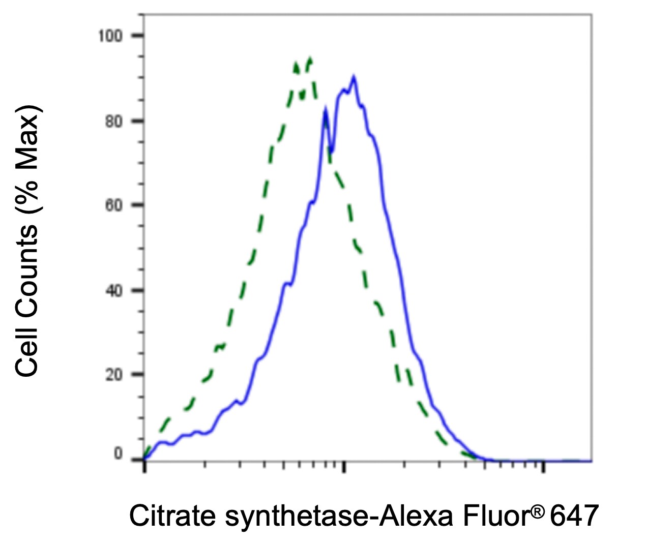 CS Citrate Synthase Antibody (23GB780)