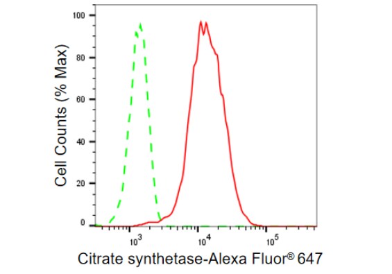 CS Citrate Synthase Antibody (23GB780)