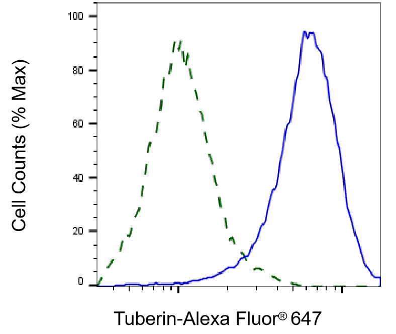TSC2 Antibody (23GB1000)