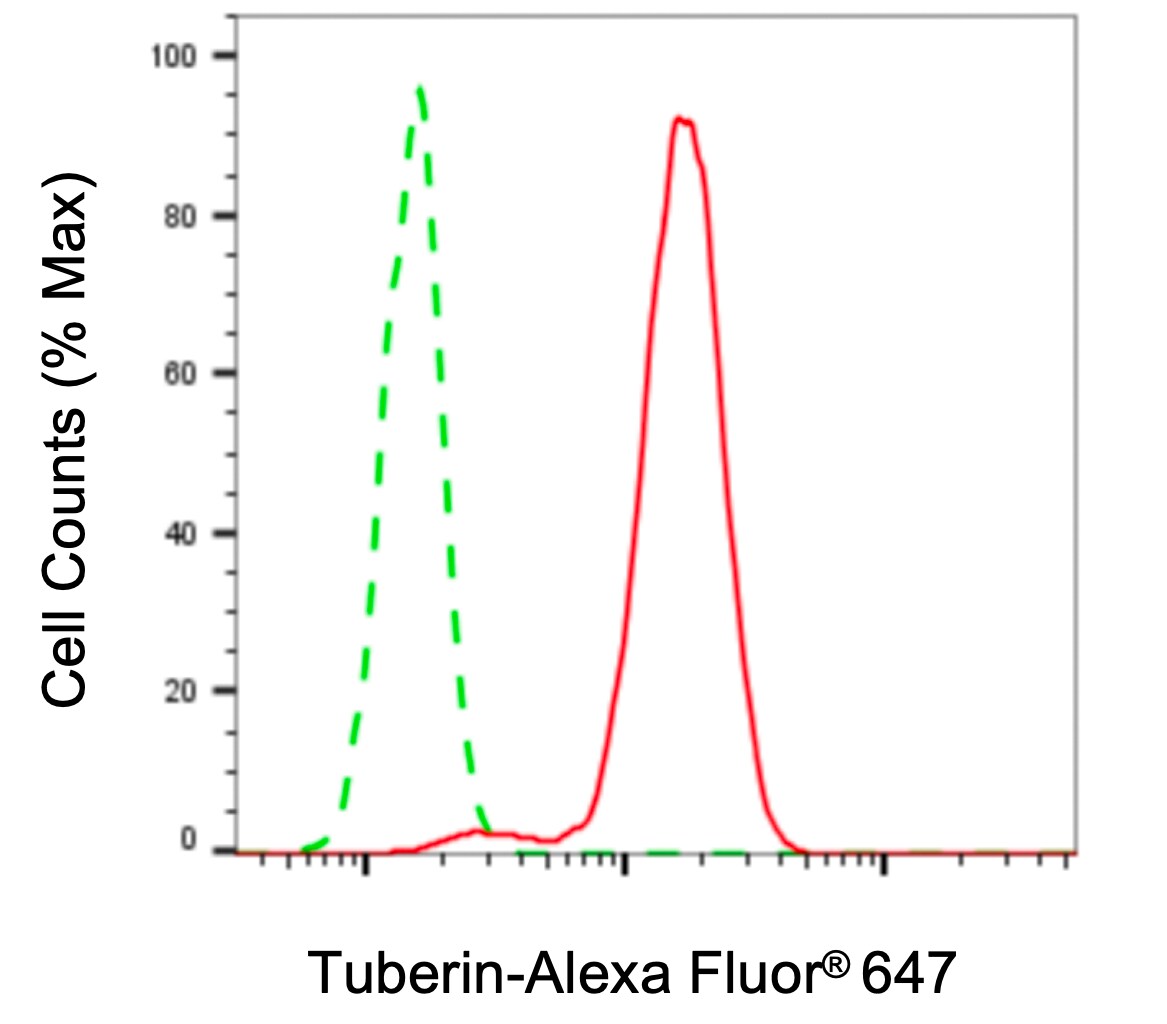 TSC2 Antibody (23GB1000)