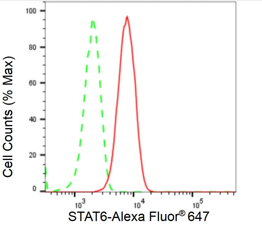 STAT6 Antibody (23GB4215)