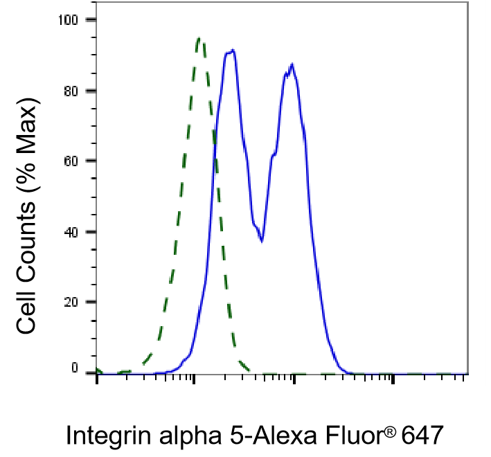 Integrin alpha 5/CD49e Antibody (23GB880)