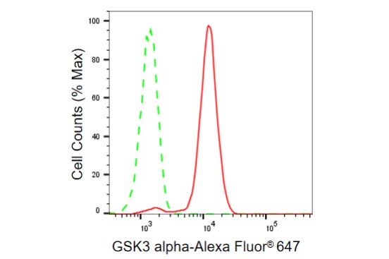 GSK-3 alpha Antibody (23GB855)