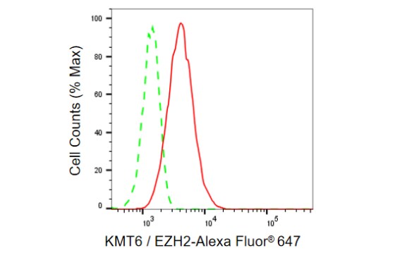 EZH2/KMT6 Antibody (23GB835)