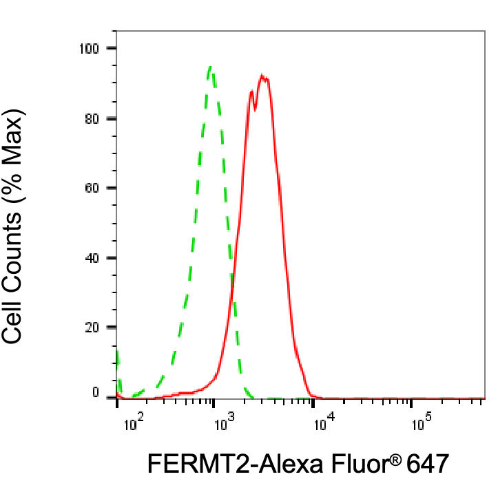 MIG2/Kindlin-2 Antibody (24GB6195)