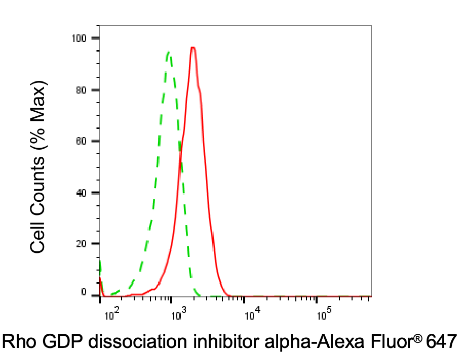 RhoGDI Antibody (24GB6240)