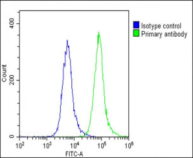 Scn1a Antibody (RB57630)