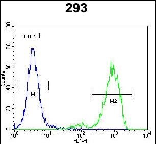 SPDYE5 Antibody (RB29743)