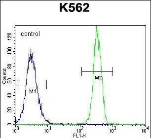 FBRSL1 Antibody (RB29571)