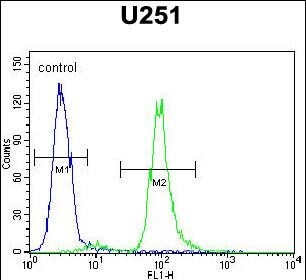 Vitrin Antibody (RB27060)