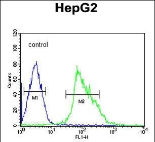 USP17 Antibody (RB26955)