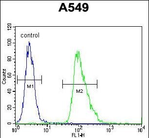 Aquaporin 12B Antibody (RB29754)