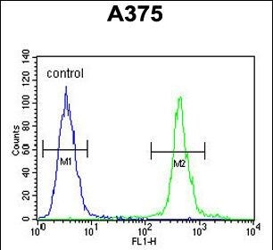 ALS2CR11 Antibody (RB28453)