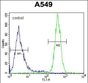 GOLGA2P5 Antibody (RB27834)