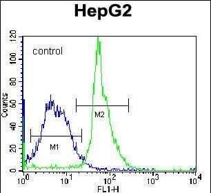 KRTAP1-3 Antibody (RB29851)