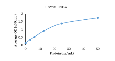 TNF RI/TNFRSF1A Antibody