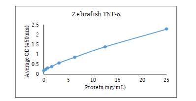 TNF RI/TNFRSF1A Antibody