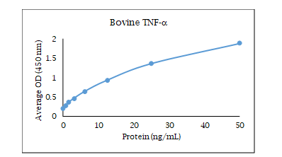 TNF RI/TNFRSF1A Antibody