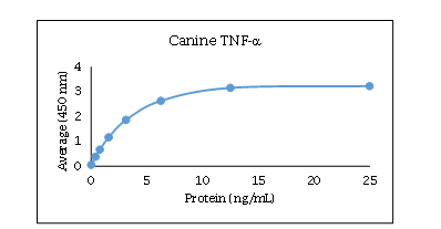 TNF RI/TNFRSF1A Antibody