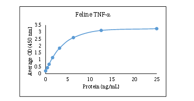 TNF RI/TNFRSF1A Antibody