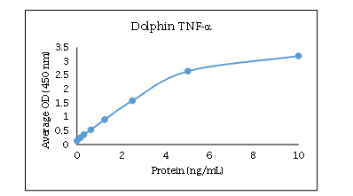 TNF RI/TNFRSF1A Antibody