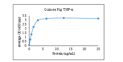 TNF RI/TNFRSF1A Antibody