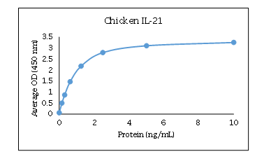 IL-21 Antibody