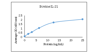 IL-21 Antibody [Biotin]