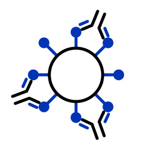 Neutralization Antibodies
