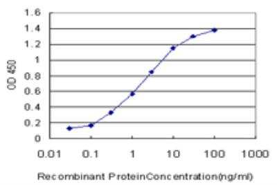 ELISA: non-muscle Myosin IIA Antibody (1H6) [H00004627-M05]