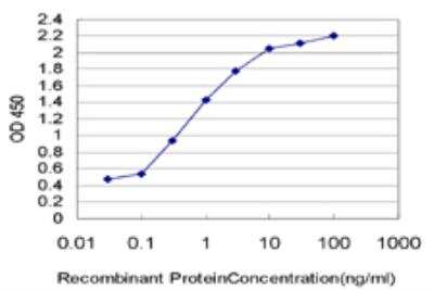 ELISA: non-muscle Myosin IIA Antibody (2B3) [H00004627-M03]