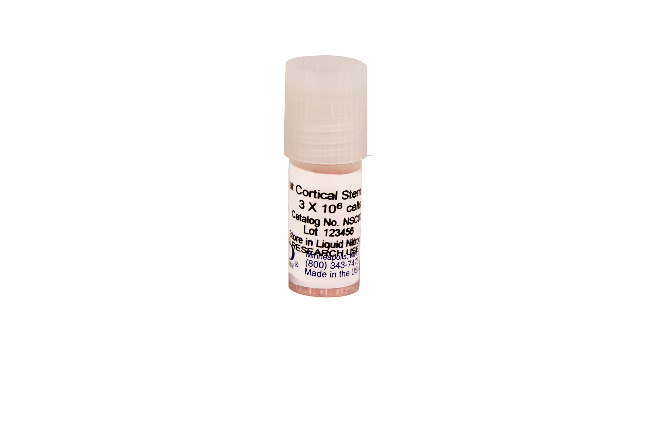 Rat Cortical Stem Cells (3 x 10^6 cells/vial) (Catalog # NSC001)