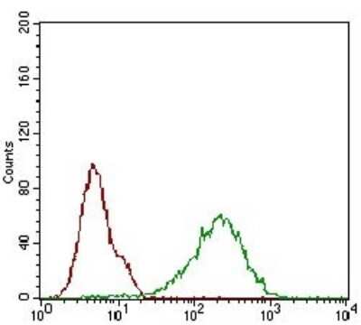 Flow Cytometry of HeLa Cells Stained with p16INK4a/CDKN2A Antibody