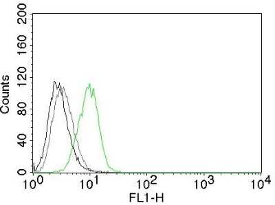 Flow Cytometry: p27/Kip1 Antibody (SX53G8) - Azide and BSA Free [NBP2-34718]