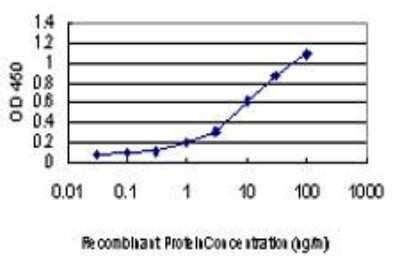 ELISA: p38 delta/SAPK4 Antibody (1E11) [H00005603-M03]