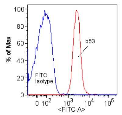 Flow Cytometry: p53 Antibody [NB200-171]