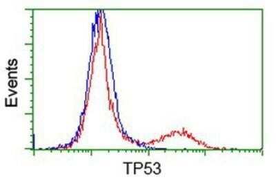 Flow Cytometry: p53 Antibody (OTI5E2) - Azide and BSA Free [NBP2-73200]