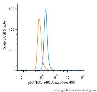 Flow Cytometry: p53 Antibody (PAb 240) - Azide and BSA Free [NBP2-80898]