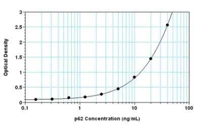 ELISA: Human, Mouse, Rat p62/SQSTM1 ELISA Kit (Colorimetric) [NBP2-61300]