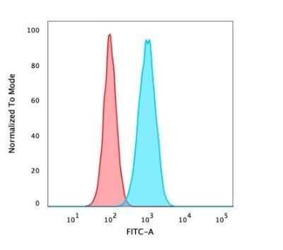 Flow Cytometry: p63/TP73L Antibody (TP40/3980R) [NBP3-07453]