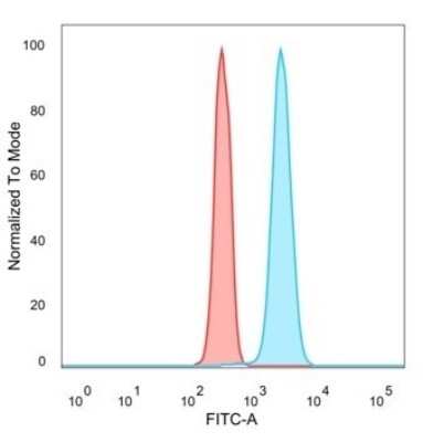 Flow Cytometry: p63/TP73L Antibody (TP63/2428) - Azide and BSA Free [NBP3-08736]