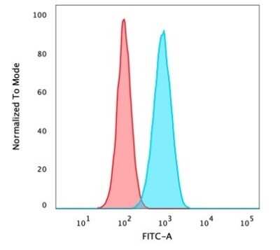 Flow Cytometry: p63/TP73L Antibody (ZR8) [NBP3-07454]