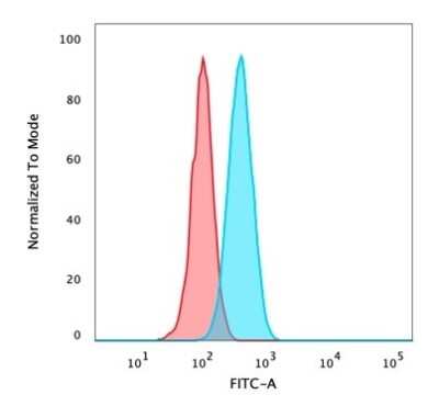 Flow Cytometry: p63/TP73L Antibody (rTP40/3690) [NBP3-07430]