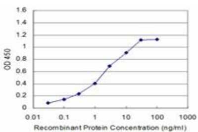 ELISA: p70 S6 Kinase/S6K Antibody (4H4) [H00006198-M04]