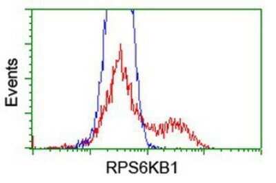 Flow Cytometry: p70 S6 Kinase/S6K Antibody (OTI1G4) - Azide and BSA Free [NBP2-73209]